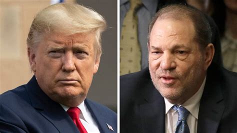 donald trump hails harvey weinstein conviction says the verdict sends strong message for women