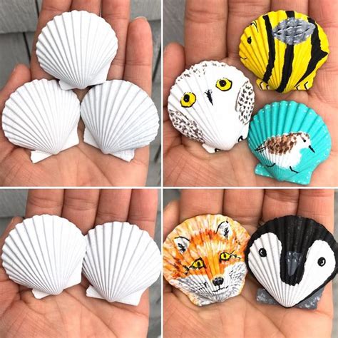 Diy Blank Seashell Magnets Set Of 5 Blank Scallop Shell Etsy Shell