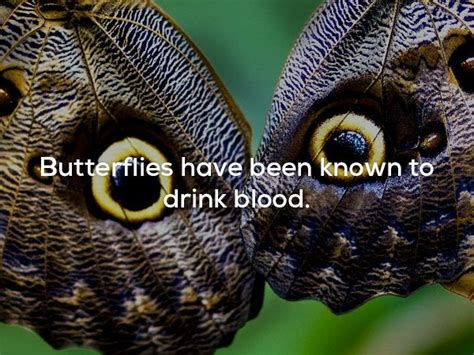 23 Creepy Facts That Are Downright Disturbing Wtf Gallery Ebaums World