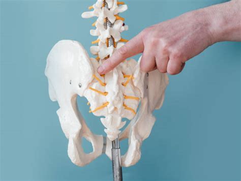 280 Sacroiliac Joint Stock Photos Pictures And Royalty Free Images Istock
