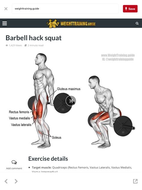 √ Barbell Hack Squat Muscles