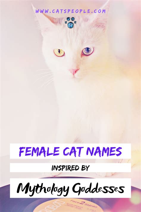 Hecate or hekate is a goddess in ancient greek religion and mythology, most often shown holding a pair of torches or a key and in later periods depicted in triple form. 15 Goddess Names for Female Cats in 2020 | Cat names, Cats ...