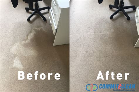 Professional Carpet Cleaning Services Melbourne Essendon Commit2clean