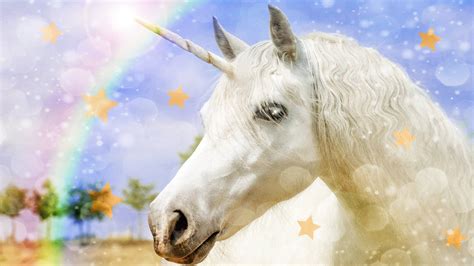 National Unicorn Day is really here! - CBBC Newsround