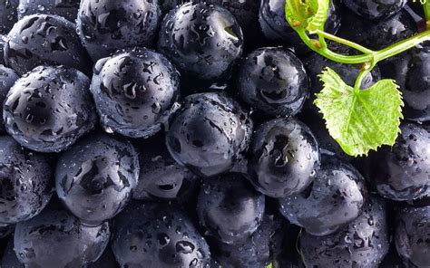 Wallpaper Food Water Drops Macro Fruit Blueberries Berry