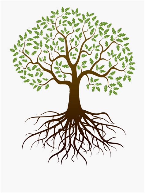 Tree Roots Clipart Without Backgrounds 10 Free Cliparts Download