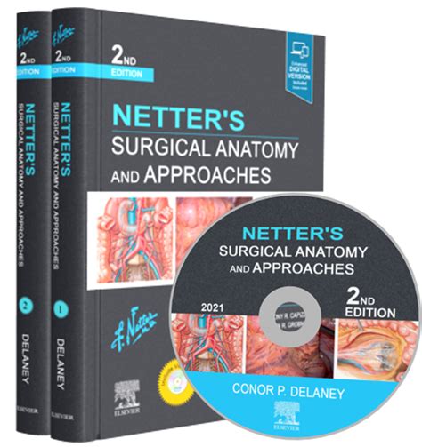 Netters Surgical Anatomy And Approaches Netter Clinical Science