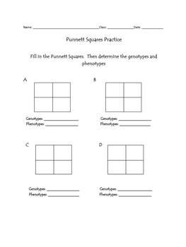 Creating a punnett square requires knowledge of the genetic composition of the parents. Punnett Squares!!! Blank Templates by Vicki - The Science ...