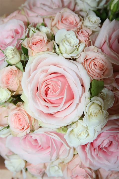 Heather Hartley Pale Pink Rose Bouquet Wedding At Edinburgh Castle