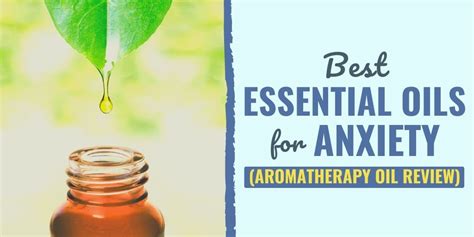 11 best essential oils for anxiety 2022 aromatherapy oil review