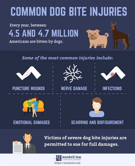 Common Dog Bite Injuries Pennsylvania Dog Bite Lawyers