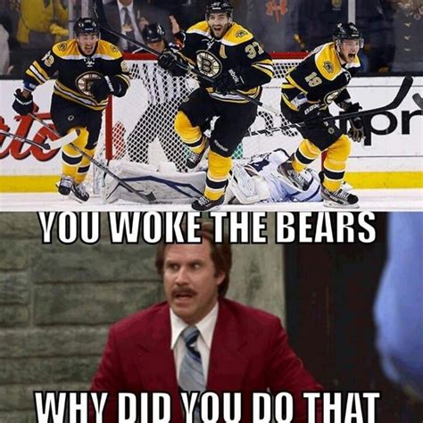 Boston Bruins Dontpokethebear Btw The Facial Expressions Are