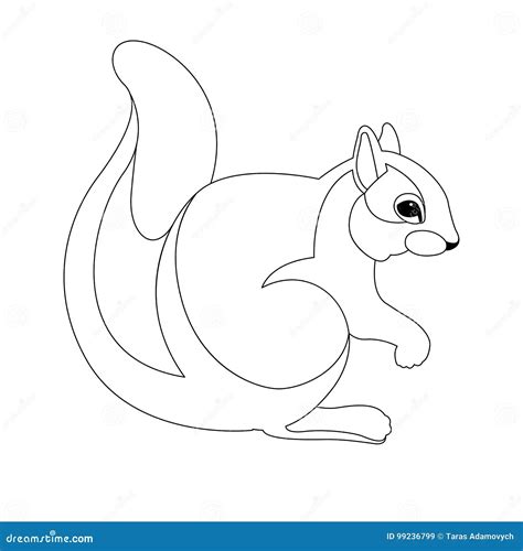 Pin De Linda Chainey En Animals Dibujo De Ardilla Dibujo De Animales