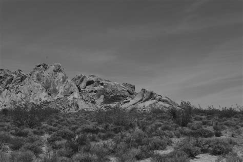 Desert Landscape In Black And White Free Stock Photo Public Domain