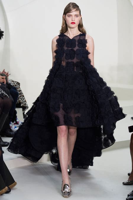 christian dior fall 2014 rtw collection