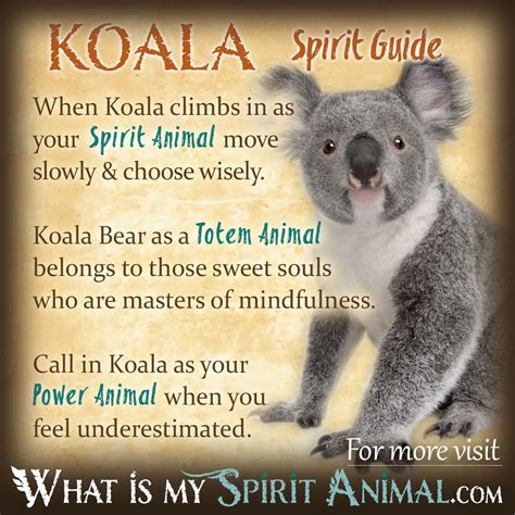 There are always more than one reason for our attractions to these precious it was my great joy to channel my own animal spirits through movement and ritualistic dance at one time. Koala Bear Symbolism & Meaning | Spirit, Totem & Power Animal