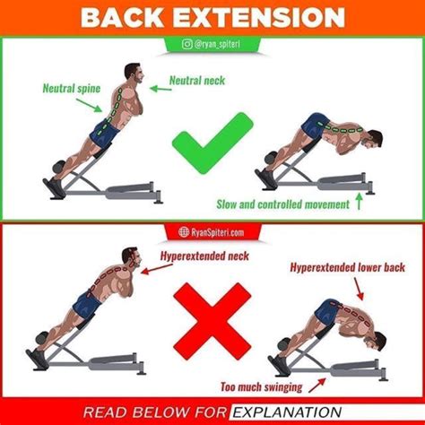 Back Extensions Exercise How To Workout Trainer By Skimble