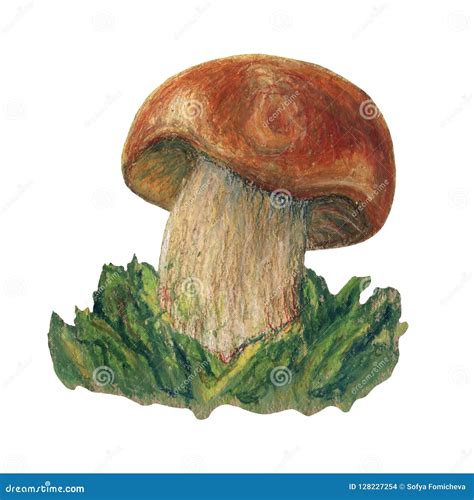 Hand Drawn Nice Brown Mushroom Illustration Stock Illustration