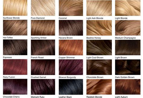 Hair Color Chart Shades Of Blonde Brunette Red And Black Hair Color
