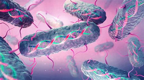 New Dna Writing Technique For Efficient Genome Writing In Bacteria