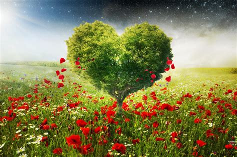 Valentines Day Artistic Heart Tree Landscape 2k Wallpaper Download