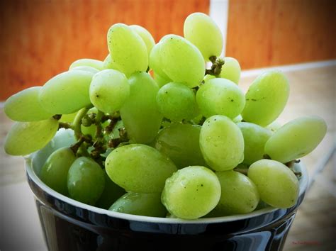Grapes Free Stock Photo Public Domain Pictures