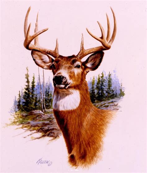 Wildlife And Big Game Painting By Jim Killen 19 Deer Painting Deer