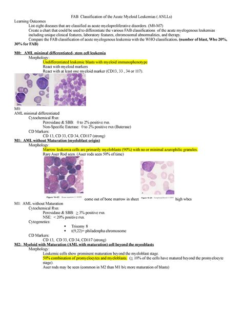 FAB Classification Of The Acute Myeloid Leukemias M M Create A Chart That Could Be Used To