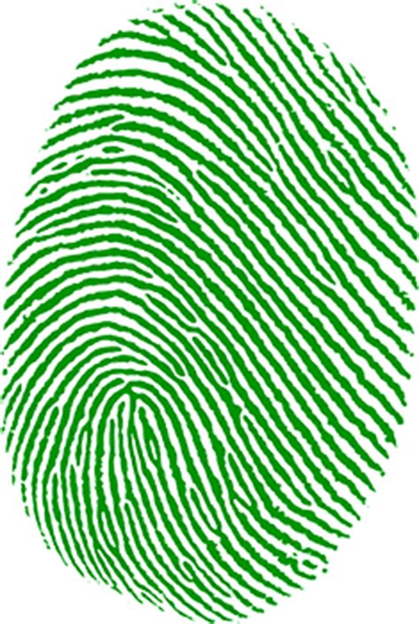 Fingerprint PNG png image