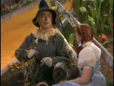 Dorothy wizard of oz flowers. Doppiaggio Il Mago di oz - lo Spaventapasseri - YouTube