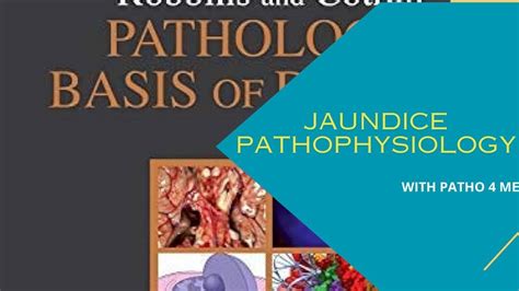 Jaundice Pathology Pathogenesis Symptoms Notes Bilirubin