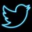 Twitter Neon Icon  Ios App Custom Icons Snapchat