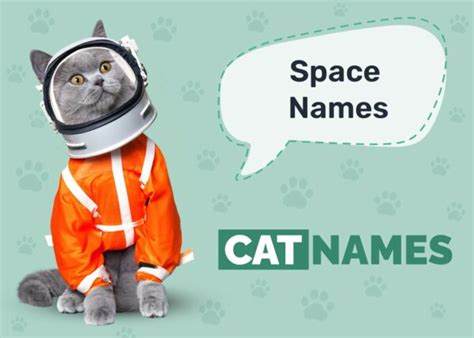 125 Space Names For Cats Out Of This World Ideas For Your
