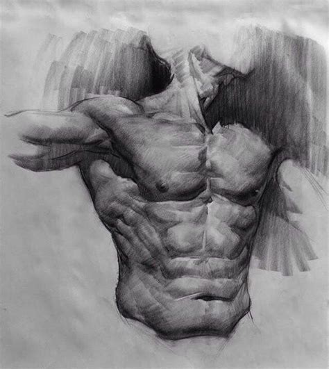 Академический рисунок VK Анатомический рисунок Рисунки углем
