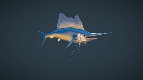 Sailfish 3d Model