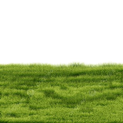 Green Grass Garden Grass Grass Cartoon Grass Png Transparent Clipart
