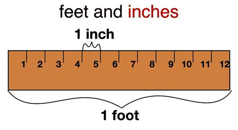 Feet And Inches Calculator