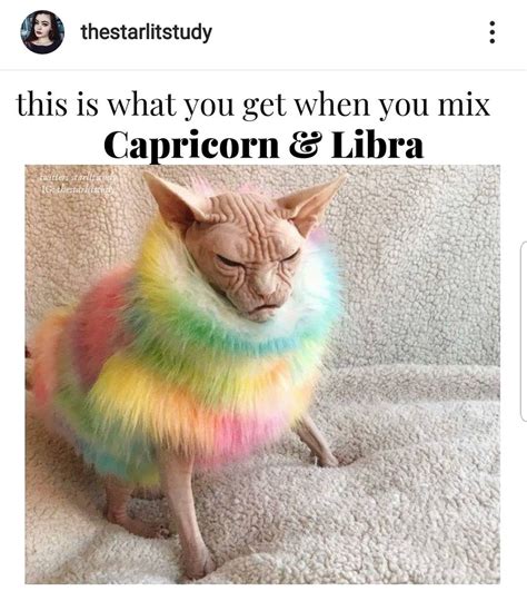 Find gifs with the latest and newest hashtags. Gratuit Meme Funny Pfp For Instagram | HumourLa