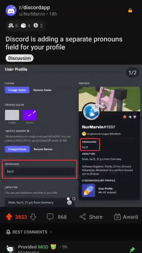 Discord Is Adding A Separate Pronouns Field For Your Profile User