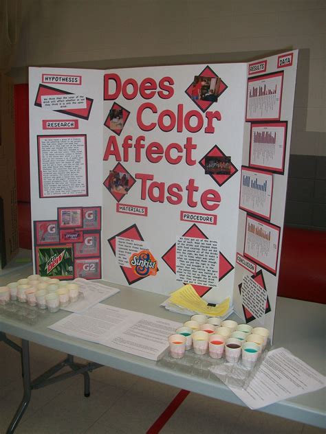 6th Grade Science Fair Projects With Food