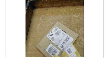 Woman Baffled As Postman Sends Proof Of Delivery Photo From Strange