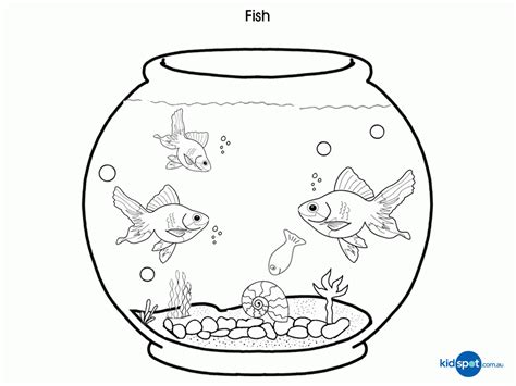 coloring pages  fishes  tank whith  cat coloring home