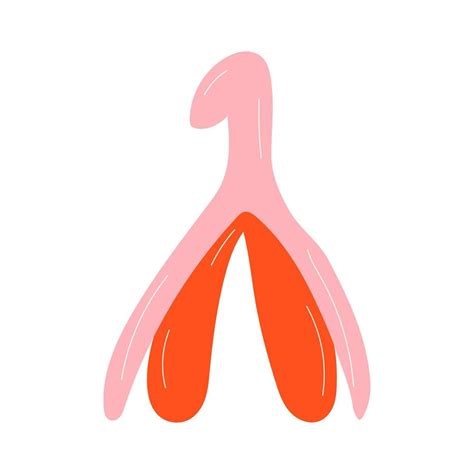 Reproductive System Of The Clitoris Clitoral Glans Feminism Theme And Female Genital Organs