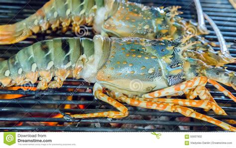 Lobster Seafood In Bbq Flames Stock Photo Image Of Menu Barbecue