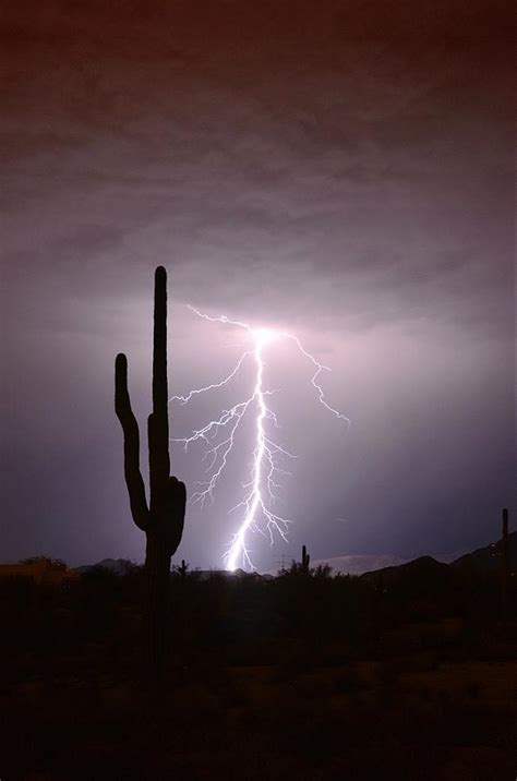 Lightning Bolt And Saguaro Photograph By Debbie Yuhas Fine Art America