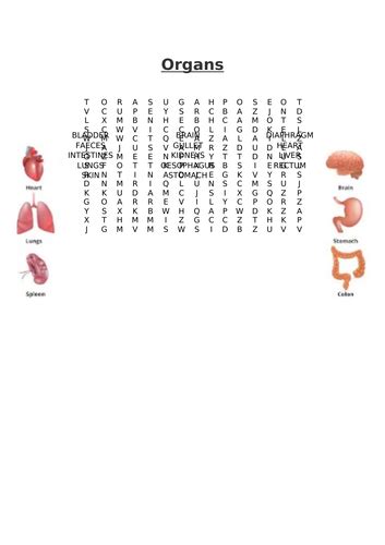 Organs Word Search Teaching Resources