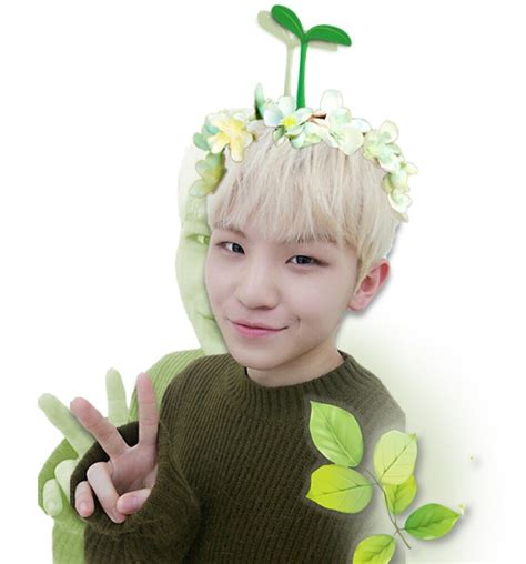 He was a former member of 'tempest' before seventeen was created. "Woozi Seventeen - Cute Plant" by Shiveryfrog | Redbubble