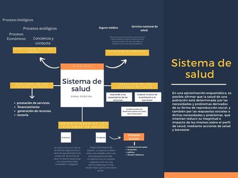 Mapa Conceptual Sistema De Salud Dana Pereira Udocz