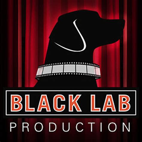 Black Lab Production