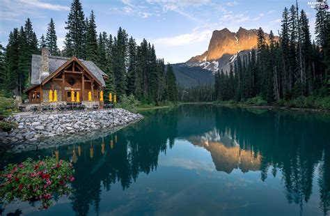 Emerald Lake Trees Canada Viewes Province Of British